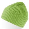 Acid Green