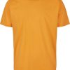 Paradise Orange