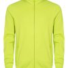 Apple Green
