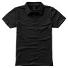 Anthracite (Solid)/Black