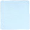 Pale Blue