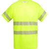 Fluor Yellow 221